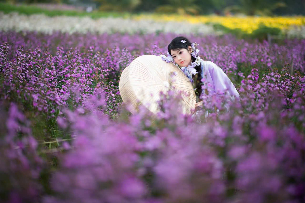 Spring in Da Nang City, Vietnam